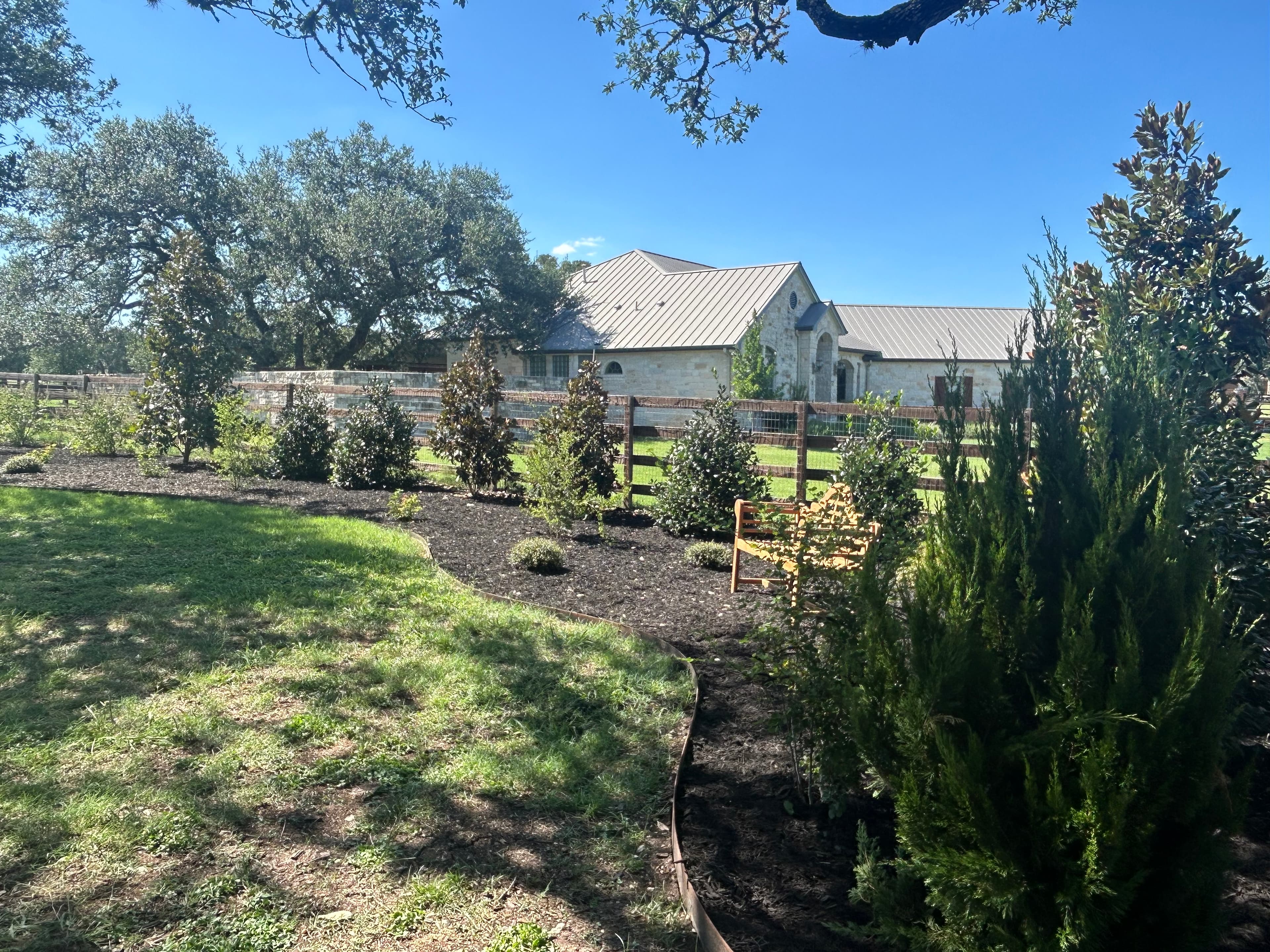 Native plant garden design with Texas Sage, Salvia, and Muhly Grass, drought-tolerant Austin landscape