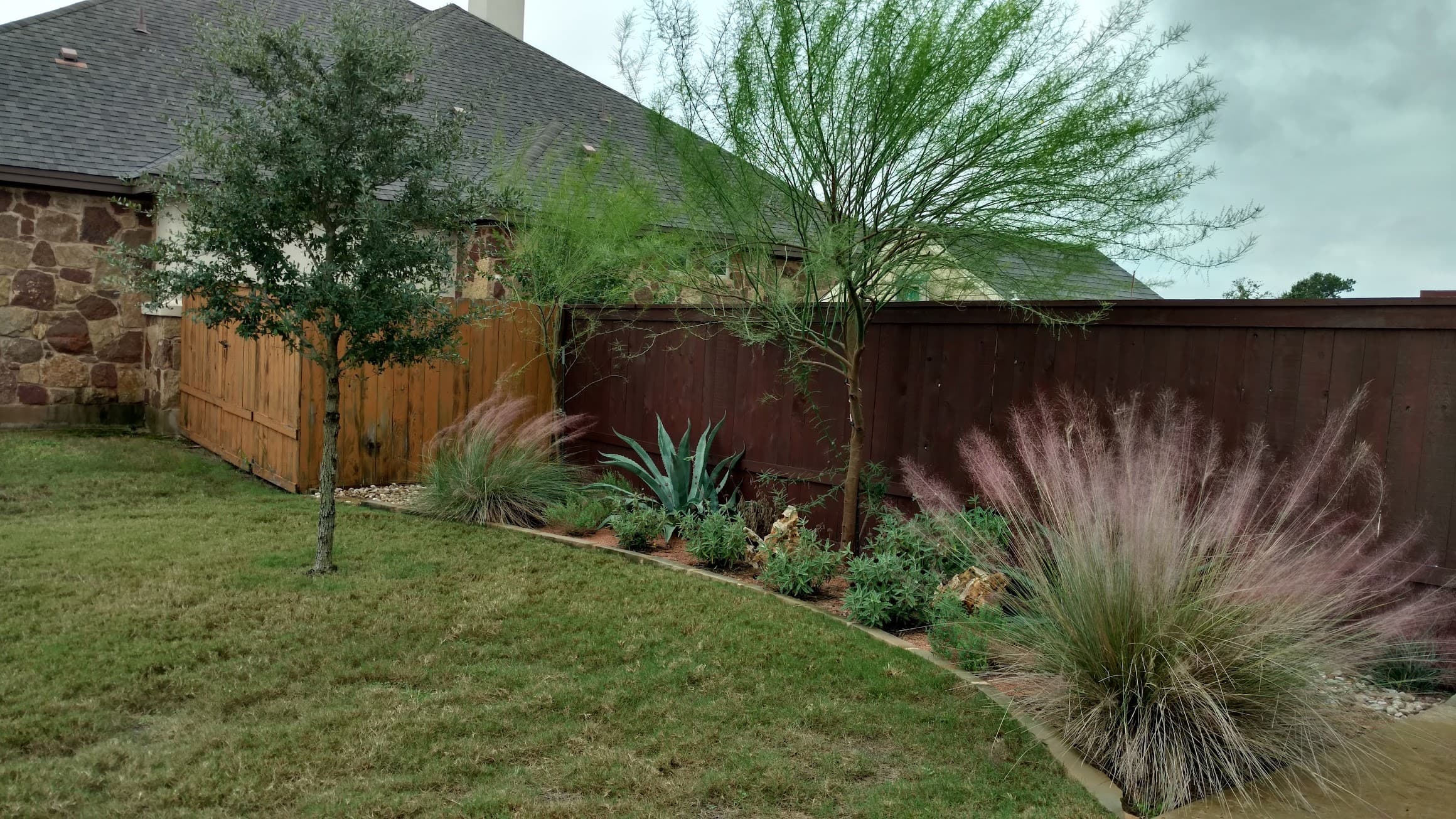 Blair Williamson project, layered native plant bed with Autumn Sage, ornamental grasses, and stone edging
