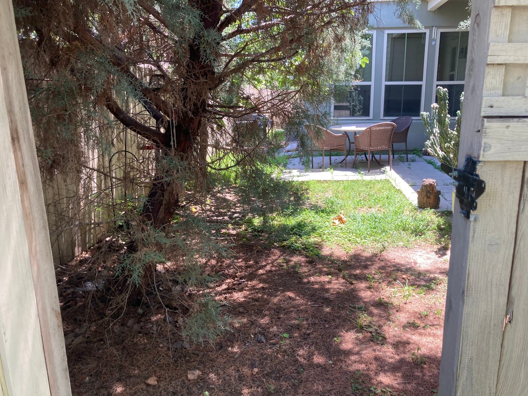 Small Backyard — Before