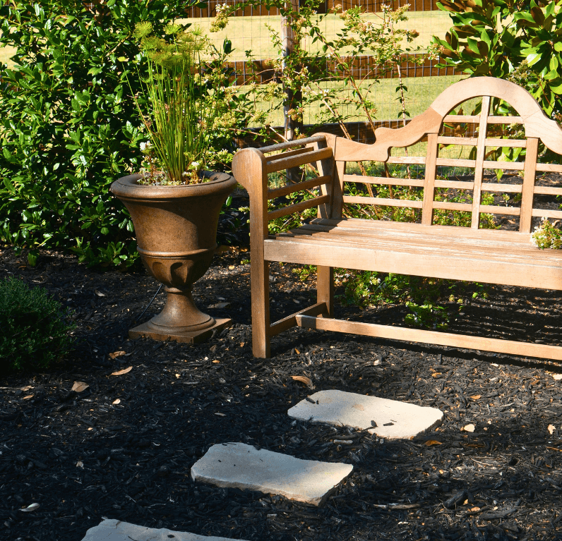 Driftwood Ranch, backyard overview