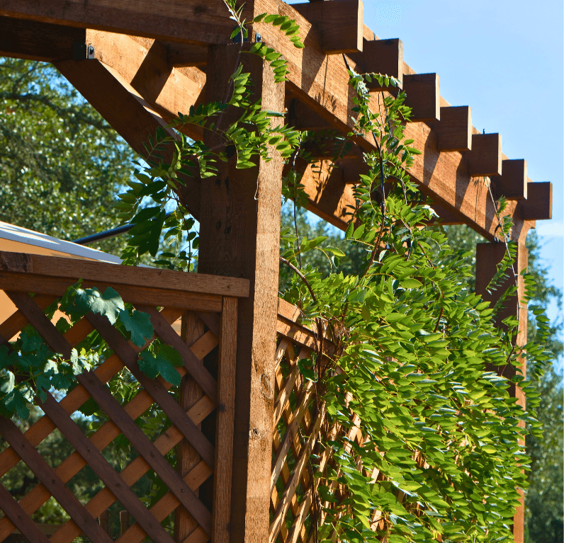 Driftwood Ranch, backyard pergola