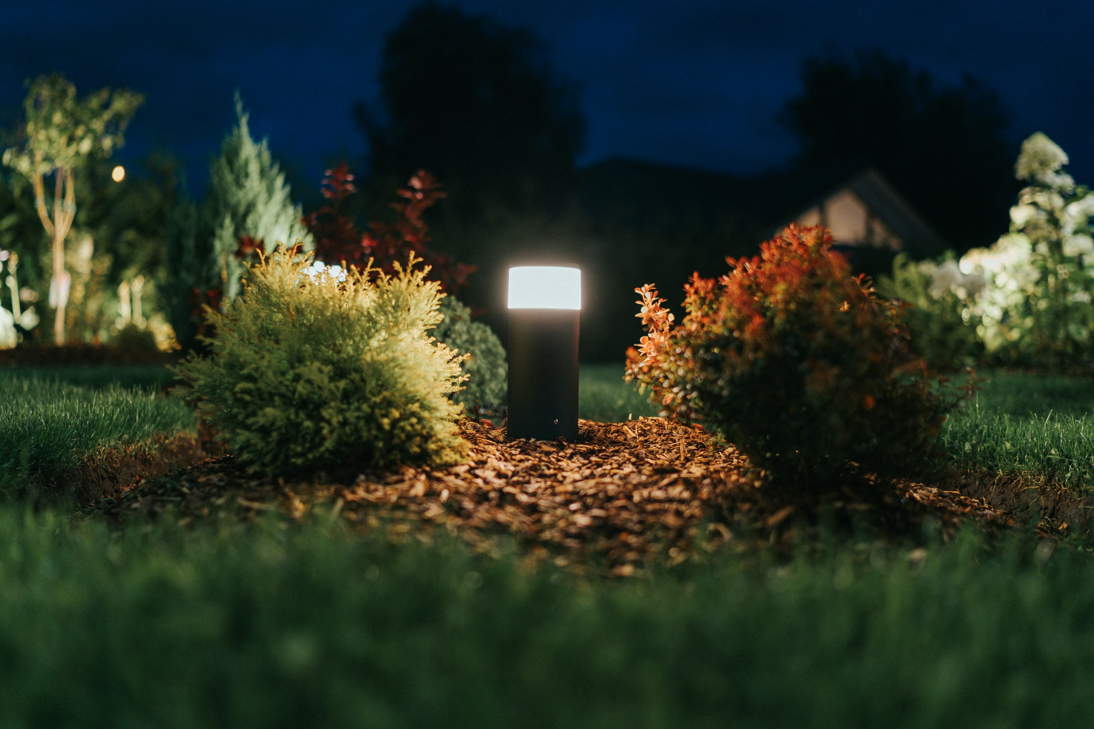 Garden lighting at night Austin