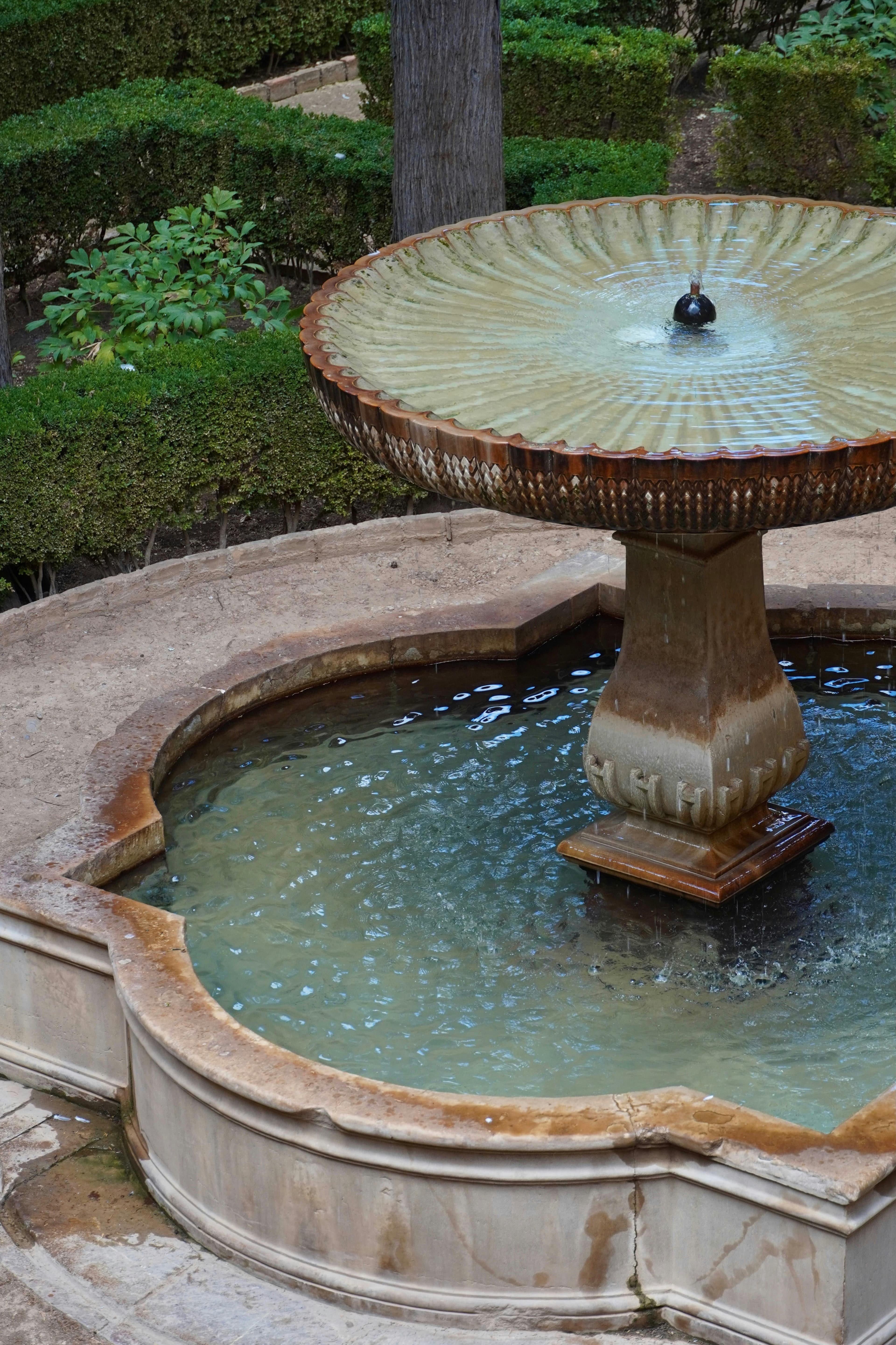 Water feature with landscape lighting Austin